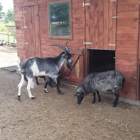 Pawlakowa Zagroda 宾馆