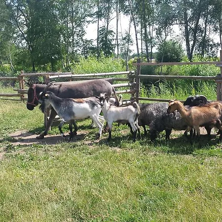 Pawlakowa Zagroda Grabiny-Zameczek