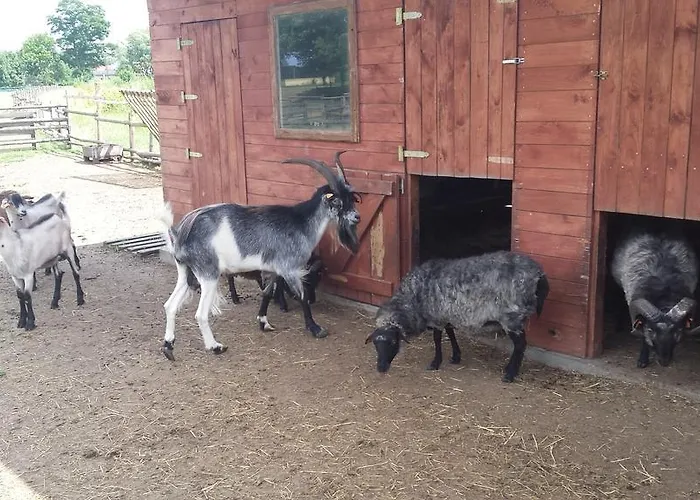 Pawlakowa Zagroda 宾馆