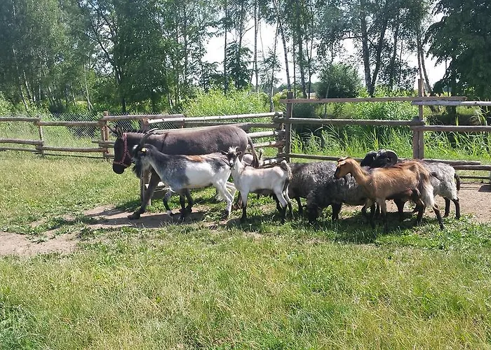 Pawlakowa Zagroda Grabiny-Zameczek